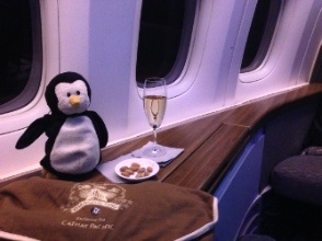 Flightless Bird on Cathay First