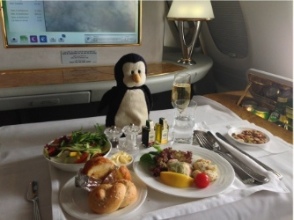 Flightless Bird on Emirates First